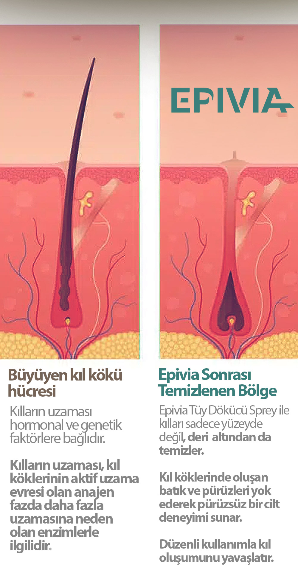 Epivia Tüy Dökücü Krem